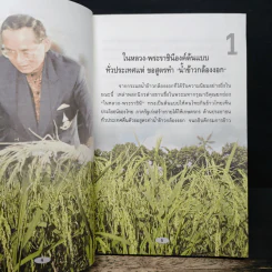ข้าวกล้องงอก สูตรน้ำข้าวกล้องขึ้นโต๊ะเสวย รูปที่ 7