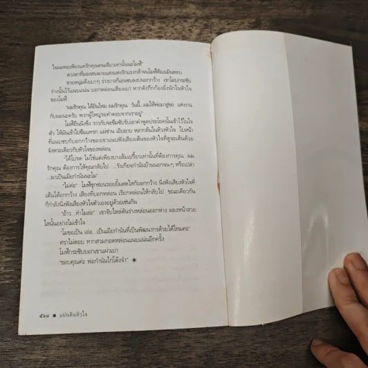 แผ่นดินหัวใจ - ดวงตะวัน รูปที่ 8