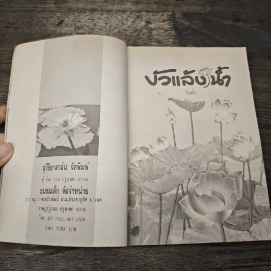 บัวแล้งน้ำ - โบตั๋น รูปที่ 6