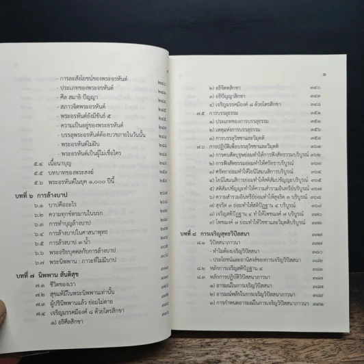 วิปัสสนาภาวนา - พระภาวนาพิศาลเมธี รูปที่ 11