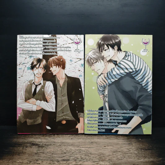 การ์ตูนวาย กับดักรักของนายตัวแสบ 2 เล่มจบ รูปที่ 2