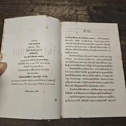 เจ้าสาวแสนกล - เพชรลดา รูปที่ 6