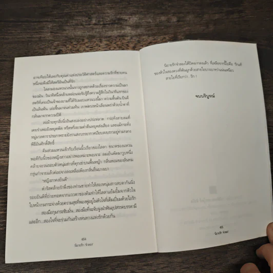 นิยายรักจำลอง - คีตาญชลี รูปที่ 8