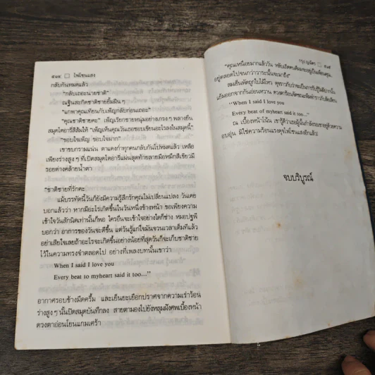 ไฟโชนแสง - กรุง ญ. ฉัตร รูปที่ 8