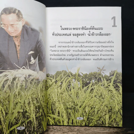 ข้าวกล้องงอก สูตรน้ำข้าวกล้องขึ้นโต๊ะเสวย รูปที่ 7