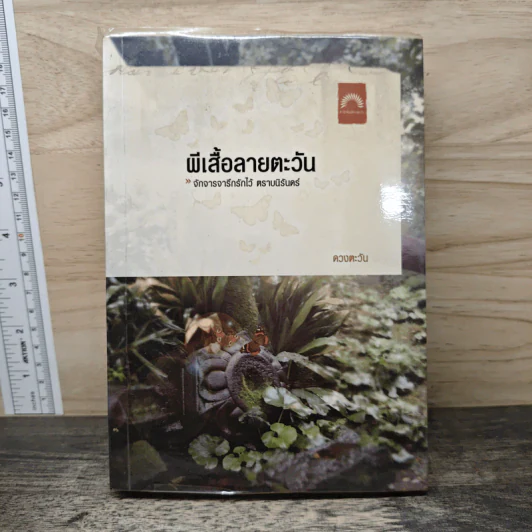 ผีเสื้อลายตะวัน - ดวงตะวัน รูปที่ 1