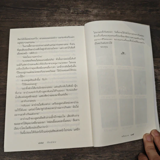 คลื่นลวง - กิ่งฉัตร รูปที่ 8