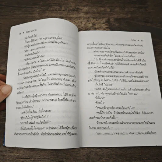 ร้อยดาวล้อมรัก - ไอริณ รูปที่ 7