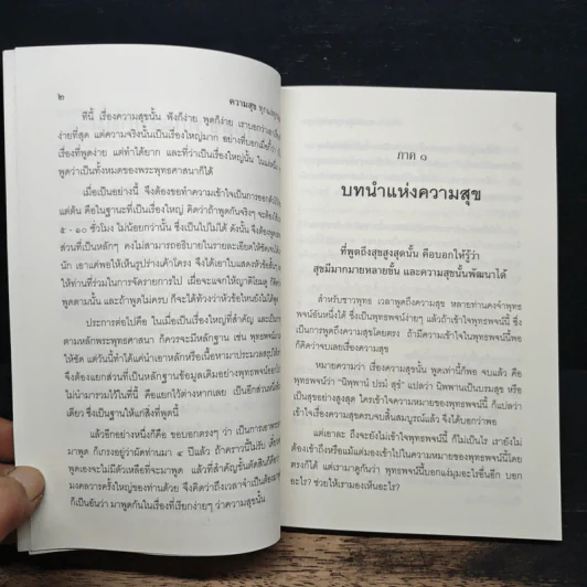 ความสุขทุกแง่ทุกมุม - พระพรหมคุณาภรณ์ (ป.อ.ปยุตฺโต) รูปที่ 9