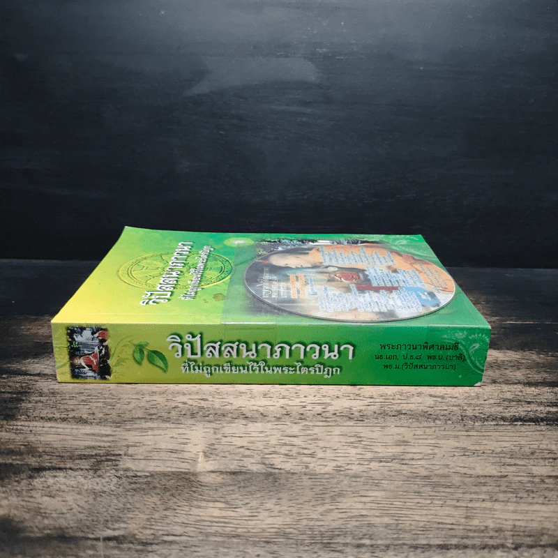 วิปัสสนาภาวนา - พระภาวนาพิศาลเมธี รูปที่ 4