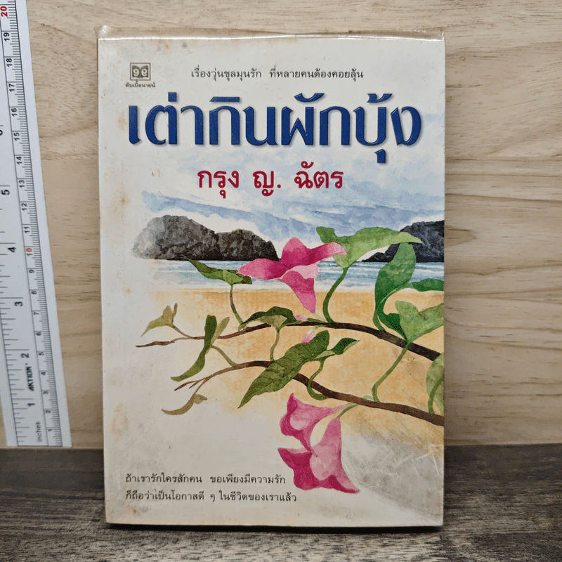 เต่ากินผักบุ้ง - กรุง ญ. ฉัตร รูปที่ 1