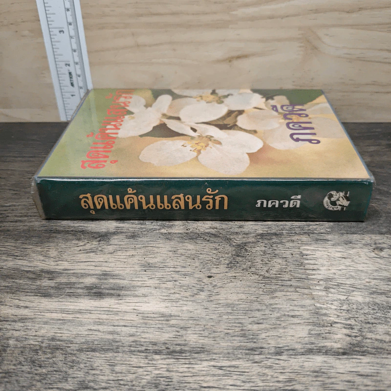 สุดแค้นแสนรัก - ภควดี รูปที่ 2