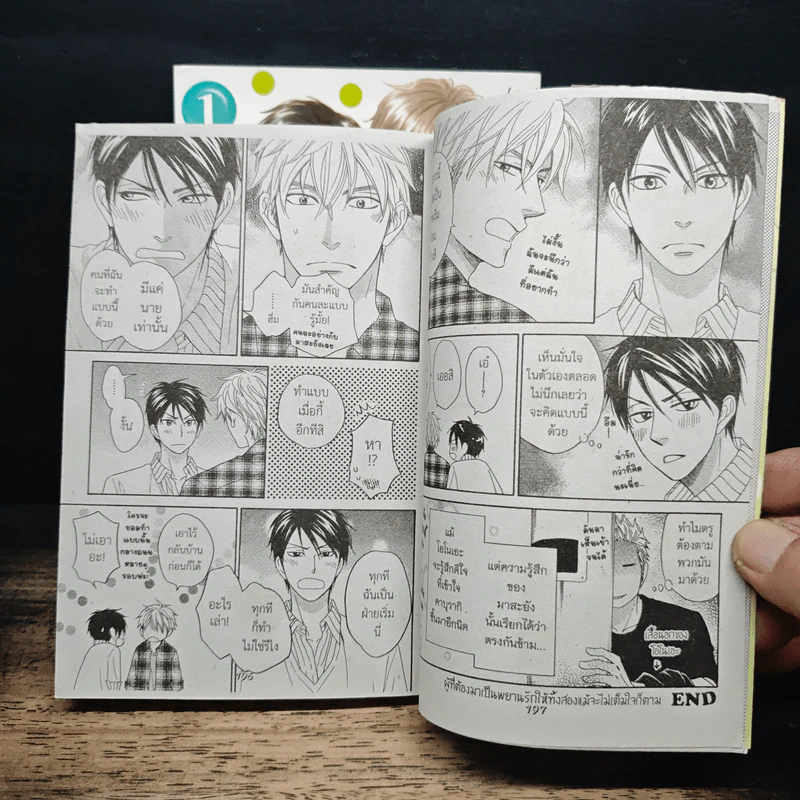 การ์ตูนวาย กับดักรักของนายตัวแสบ 2 เล่มจบ รูปที่ 9