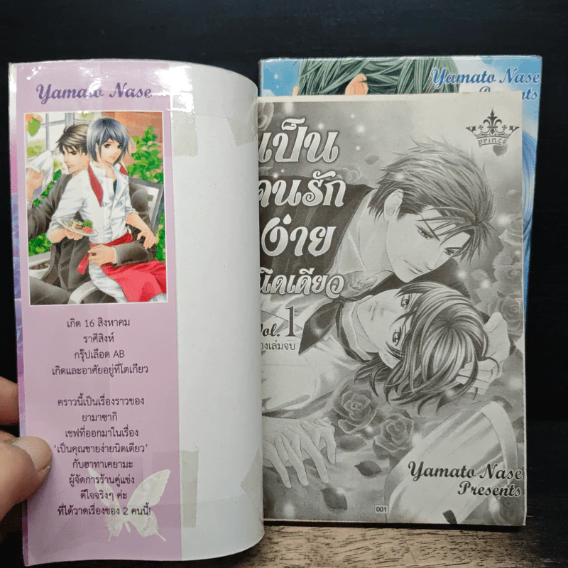 เป็นคนรักง่ายนิดเดียว 2 เล่มจบ รูปที่ 6