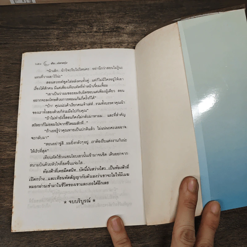 ฝันปลายรุ้ง - จิตรเลขา รูปที่ 8