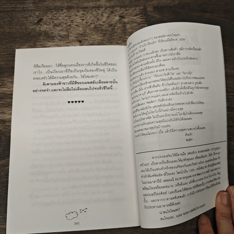 เวียนนาวันฟ้าใส - ช่อลัดา รูปที่ 8