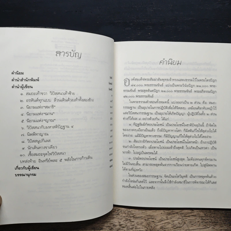 สมถะเท้าขวา วิปัสสนาเท้าซ้าย - พศิน อินทรวงศ์ รูปที่ 7