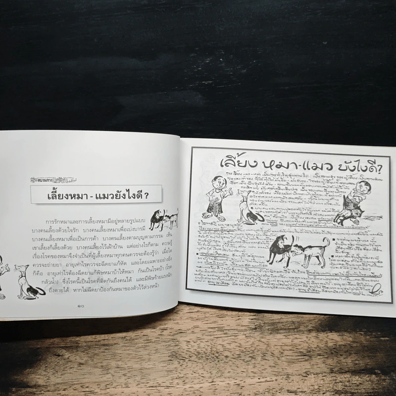 ขบวนการแก้จน เล่ม 6 เลี้ยงสัตว์กันดีกว่า - ประยูร จรรยาวงษ์ รูปที่ 9