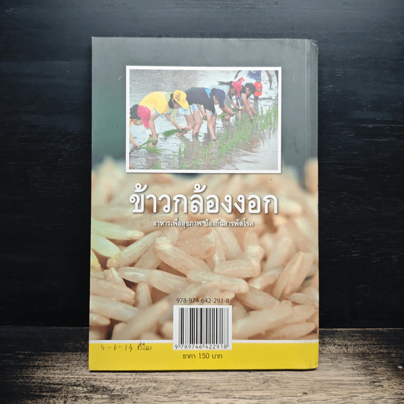 ข้าวกล้องงอก สูตรน้ำข้าวกล้องขึ้นโต๊ะเสวย รูปที่ 2