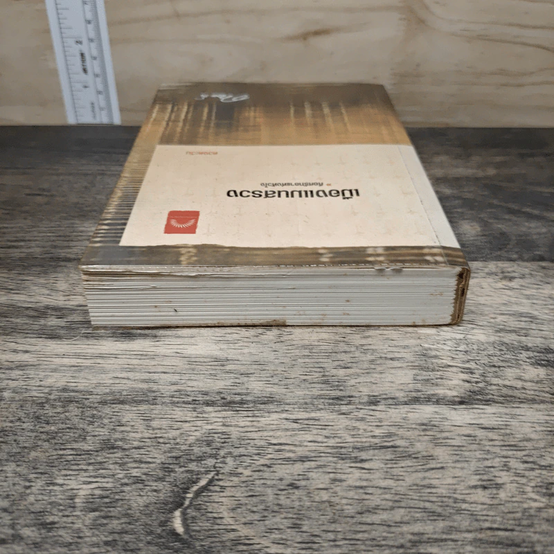 เมืองแมนสรวง - ดวงตะวัน รูปที่ 4