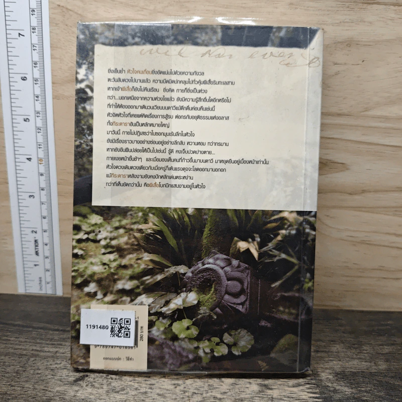 ผีเสื้อลายตะวัน - ดวงตะวัน รูปที่ 5