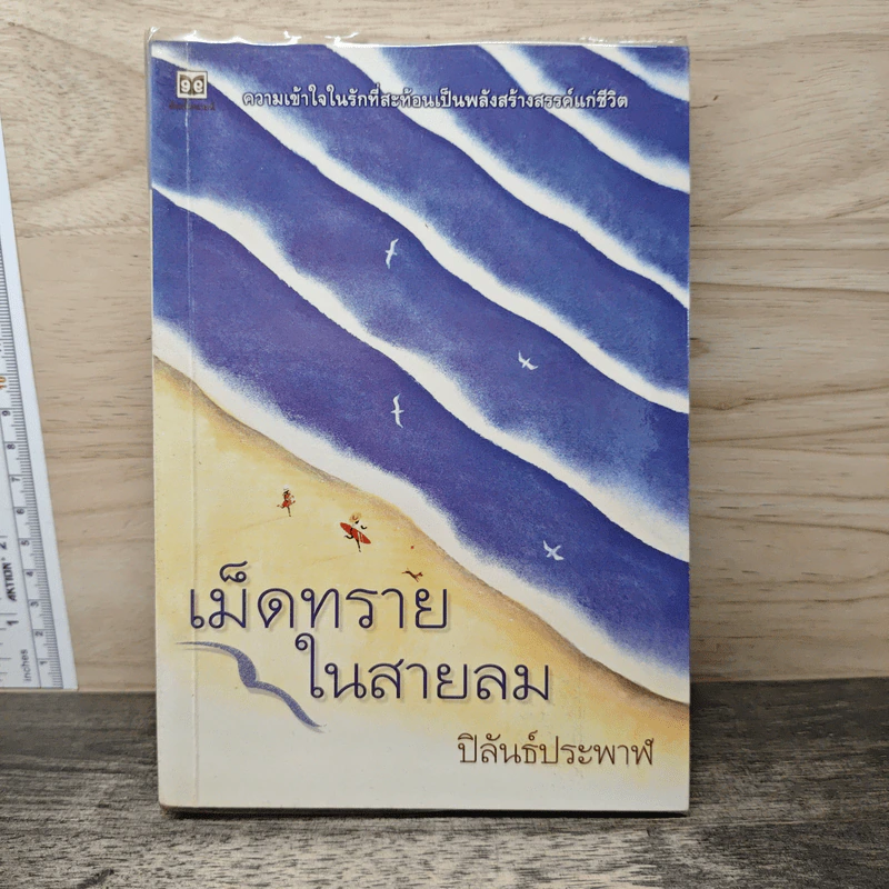 เม็ดทรายในสายลม - ปิลันธ์ประพาฬ รูปที่ 1