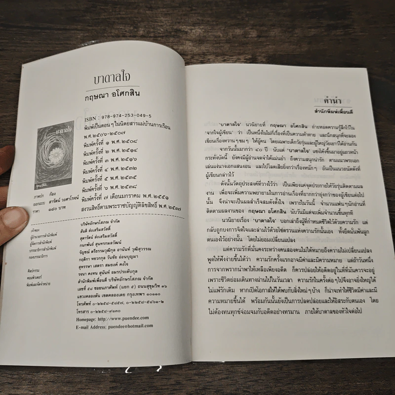 บาดาลใจ - กฤษณา อโศกสิน รูปที่ 6