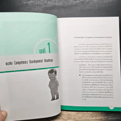 Competency Development Roadmap รูปที่ 11