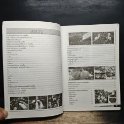 เทคนิคการขยายพันธุ์พืช รูปที่ 7