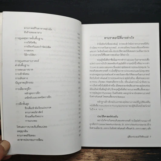 คู่มือลาบราดอร์ รีทรีฟเวอร์ - วรรณ พิรุณ รูปที่ 8