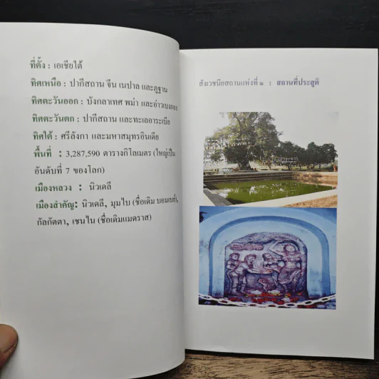 ทำไมต้องไปอินเดีย? - ธีรยุทร เวชเจริญยิ่ง รูปที่ 6