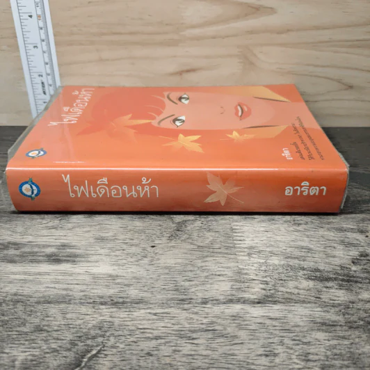 ไฟเดือนห้า - อาริตา รูปที่ 2