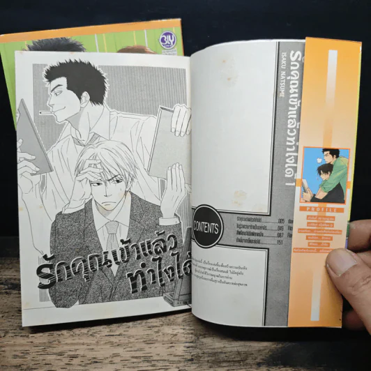 รักคุณเข้าแล้ว ทำไงได้ 2 เล่มจบ รูปที่ 6