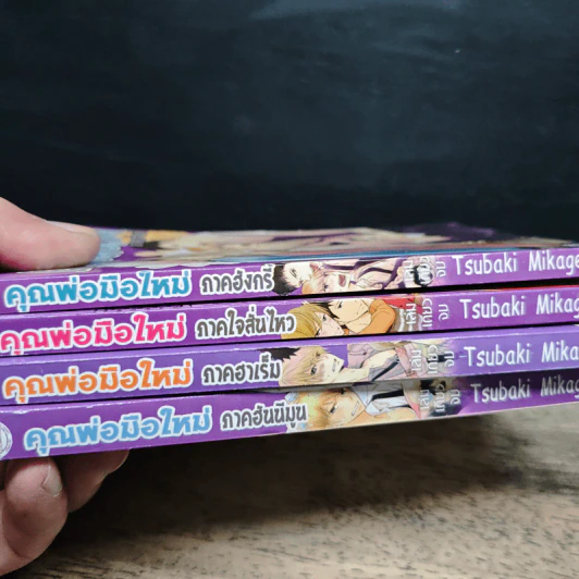 คุณพ่อมือใหม่ 4 ภาค รูปที่ 5