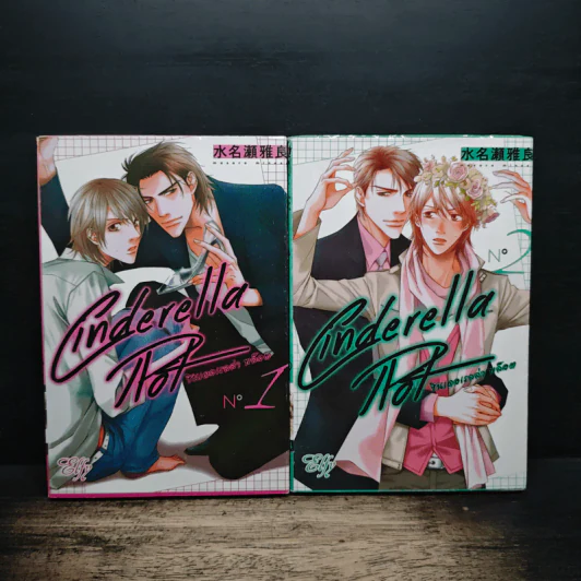 Cinderella Plot ซินเดอเรลล่า พล็อต เล่ม 1-2 รูปที่ 1