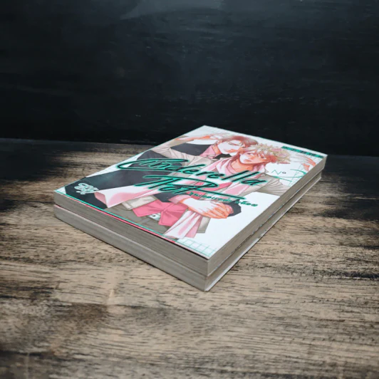 Cinderella Plot ซินเดอเรลล่า พล็อต เล่ม 1-2 รูปที่ 4