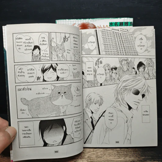 Cinderella Plot ซินเดอเรลล่า พล็อต เล่ม 1-2 รูปที่ 7