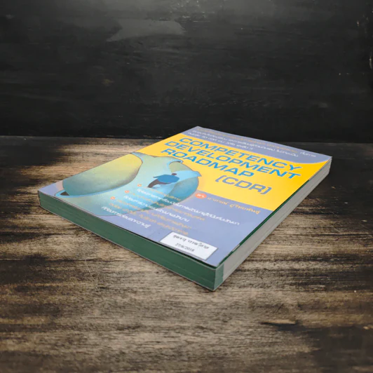 Competency Development Roadmap รูปที่ 4