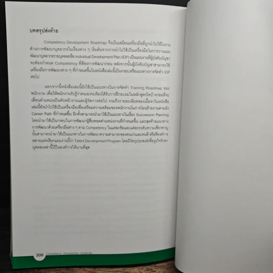 Competency Development Roadmap รูปที่ 12