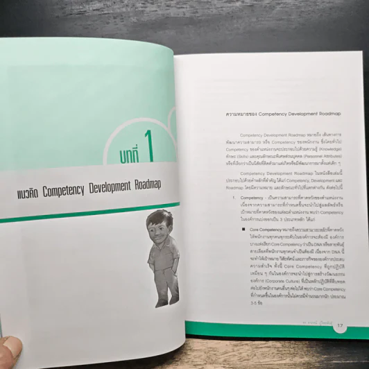 Competency Development Roadmap รูปที่ 11