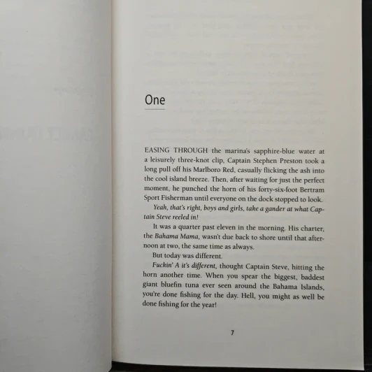 Sail - James Patterson, Howard Roughan รูปที่ 7