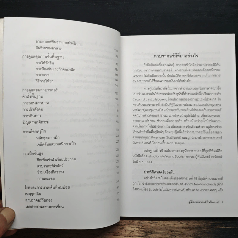 คู่มือลาบราดอร์ รีทรีฟเวอร์ - วรรณ พิรุณ รูปที่ 8