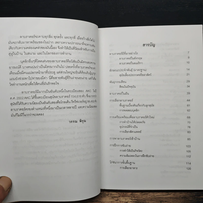 คู่มือลาบราดอร์ รีทรีฟเวอร์ - วรรณ พิรุณ รูปที่ 7