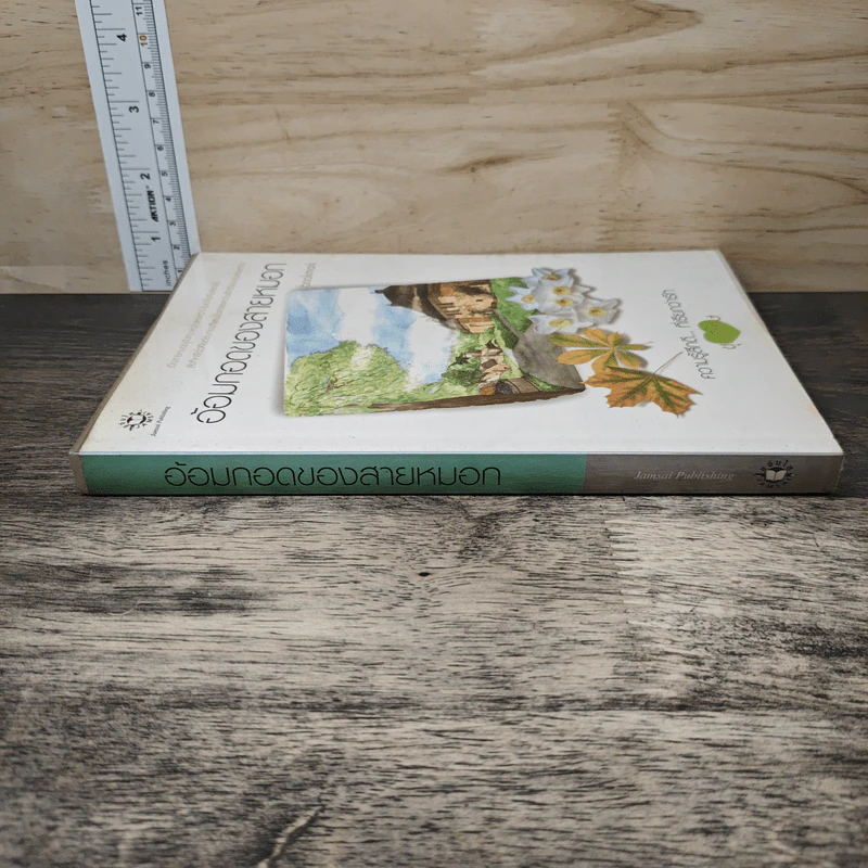 อ้อมกอดของสายหมอก - bookmark รูปที่ 2