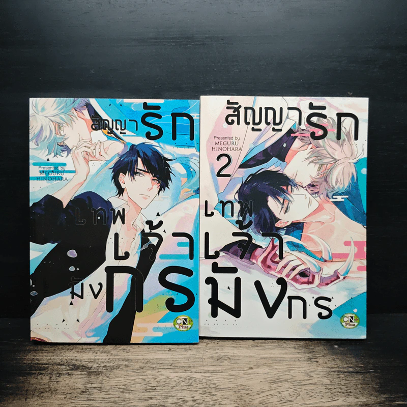 สัญญารักเทพเจ้ามังกร เล่ม 1-2 - Meguru Hinohara รูปที่ 1
