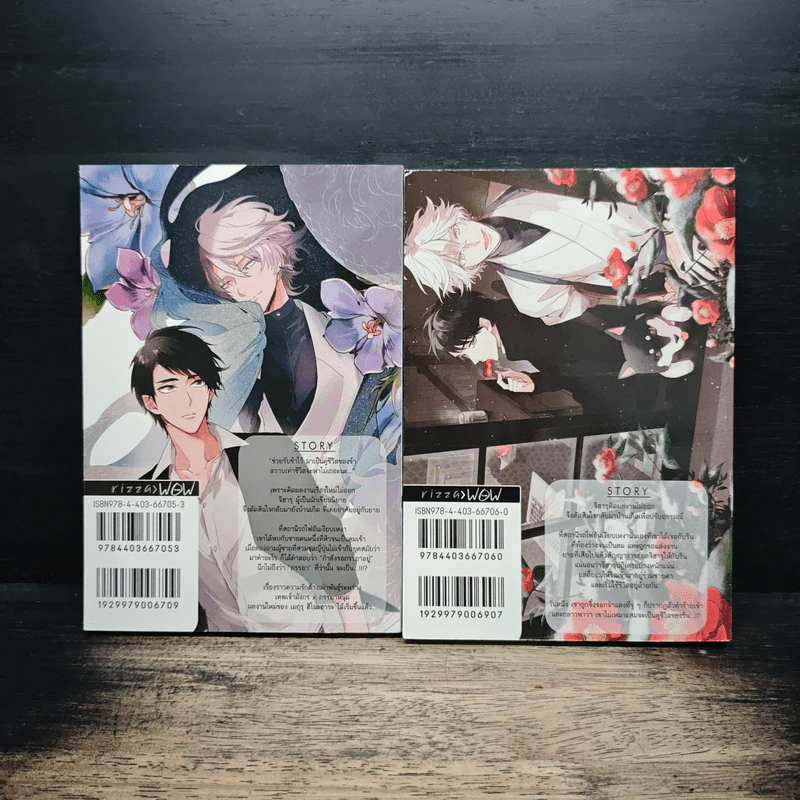 สัญญารักเทพเจ้ามังกร เล่ม 1-2 - Meguru Hinohara รูปที่ 2