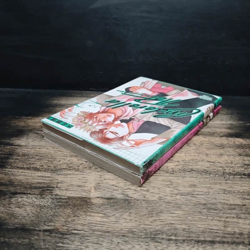 Cinderella Plot ซินเดอเรลล่า พล็อต เล่ม 1-2 รูปที่ 5