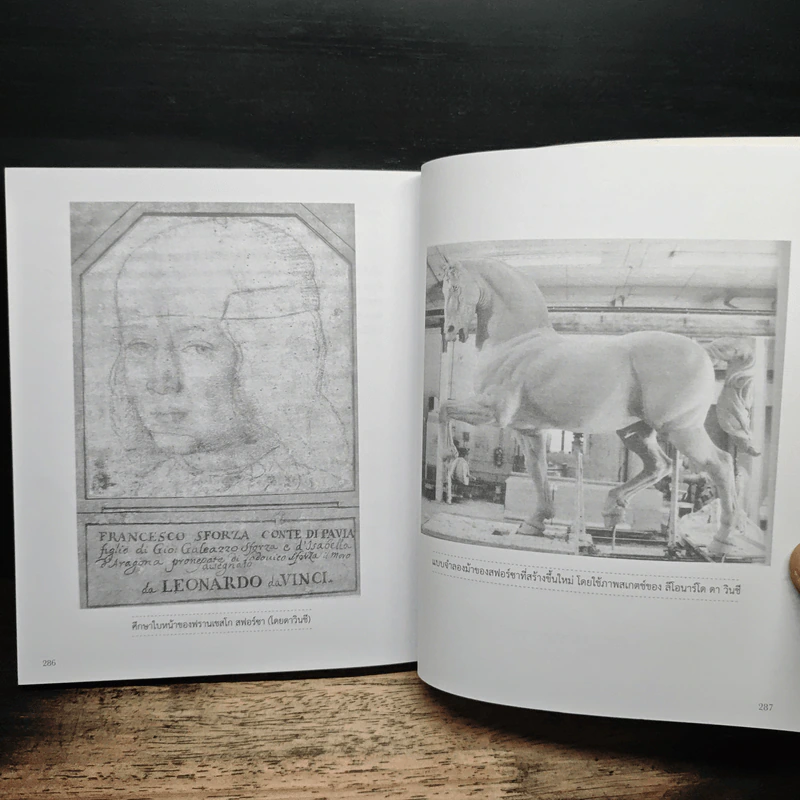 อัจฉริยะแบบดาวินชี Think Like Davinci - ดร.สาลี่ เกี่ยวการค้า รูปที่ 9