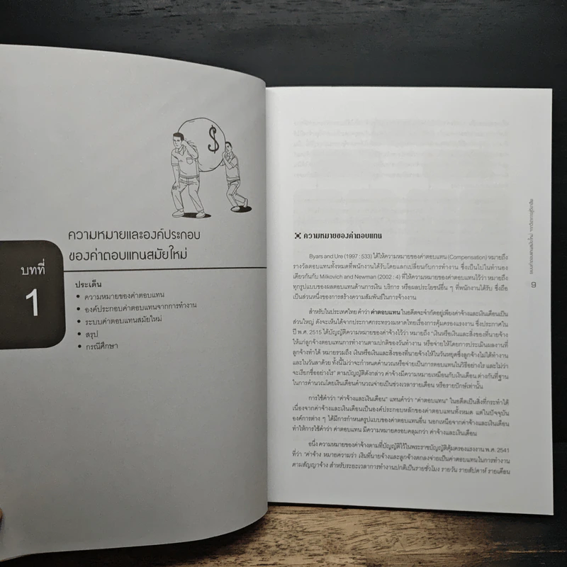 ระบบค่าตอบแทนสมัยใหม่ จากวิชาการสู่วิชาชีพ - รองศาสตราจารย์ ดร. กิ่งพร ทองใบ รูปที่ 9