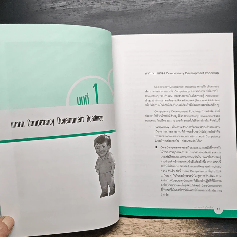 Competency Development Roadmap รูปที่ 11
